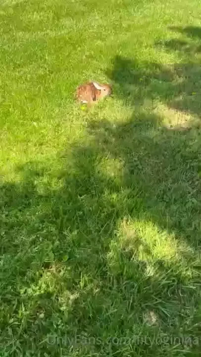 Morning booty and the little fawn i found in my yard this morning 