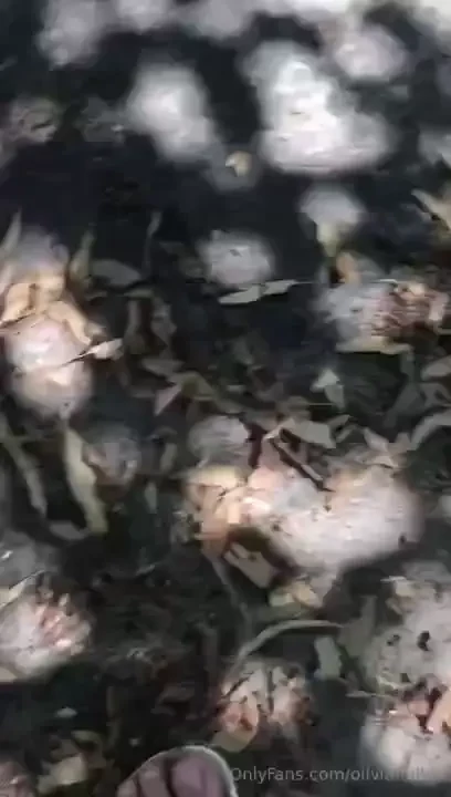 Just wanted to show u all pretzel on the very first day i got him time 