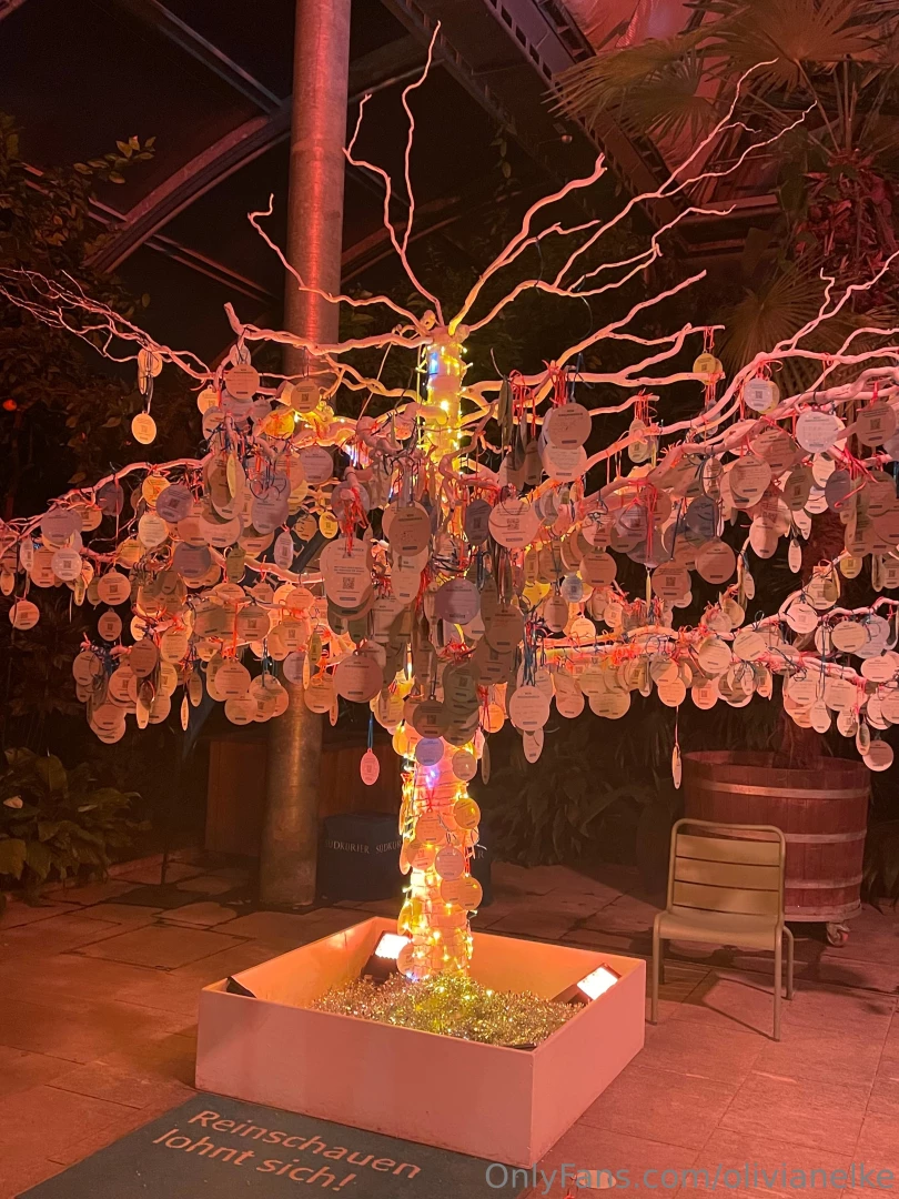 I found another wish tree wrote my christmas wish down and hung it on 