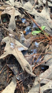 Taking a break from chores to jerk off on the farm part 1