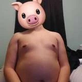 pigboii