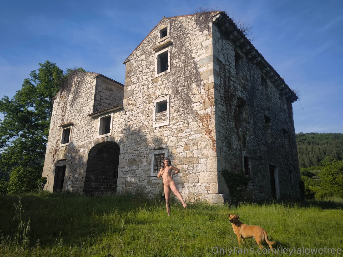 There s something about ruins of old houses some might say they are 