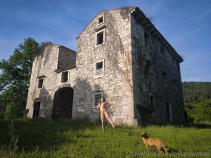 There s something about ruins of old houses some might say they are