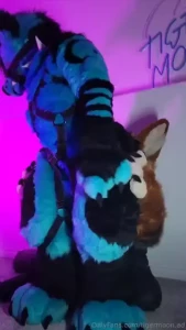 Asserting my dominance and reminding foxter whos in charge he s such a