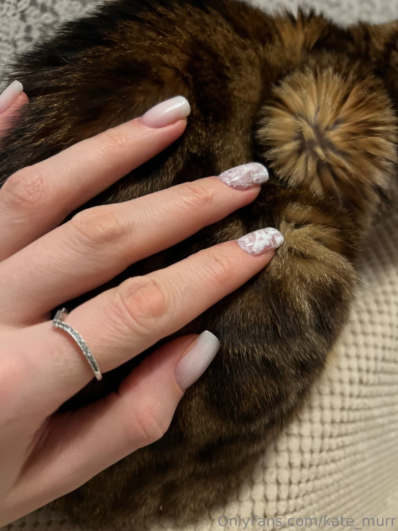 Do you know my cat s name 
