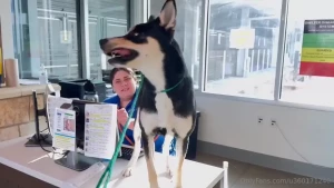 I wanted to thank everyone who was on the live chat last night first