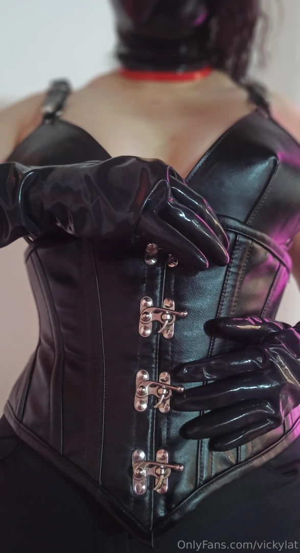 Opaque corset and harness bustier along with latex gloves see the 