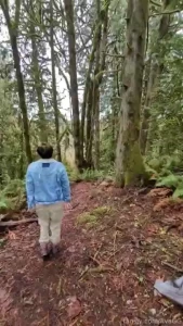 Just a little walk in the forest before the stream tonight i pulled my