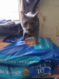 Por cierto amigos les presumo que se logro la meta logramos comprar