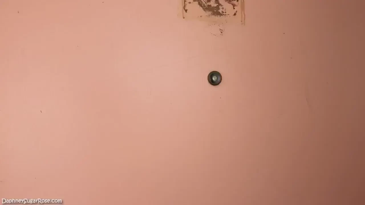 Hungry new neighbor gobbles up her welcome party same size vore - big part 1 