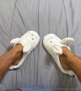 Sexydadshit