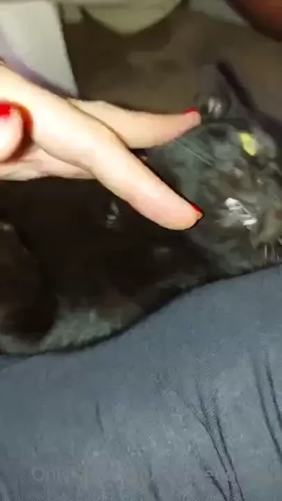 Pussycat he love me and u are 