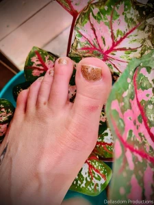 Where the foot lovers at not my foot but the foot of a sub