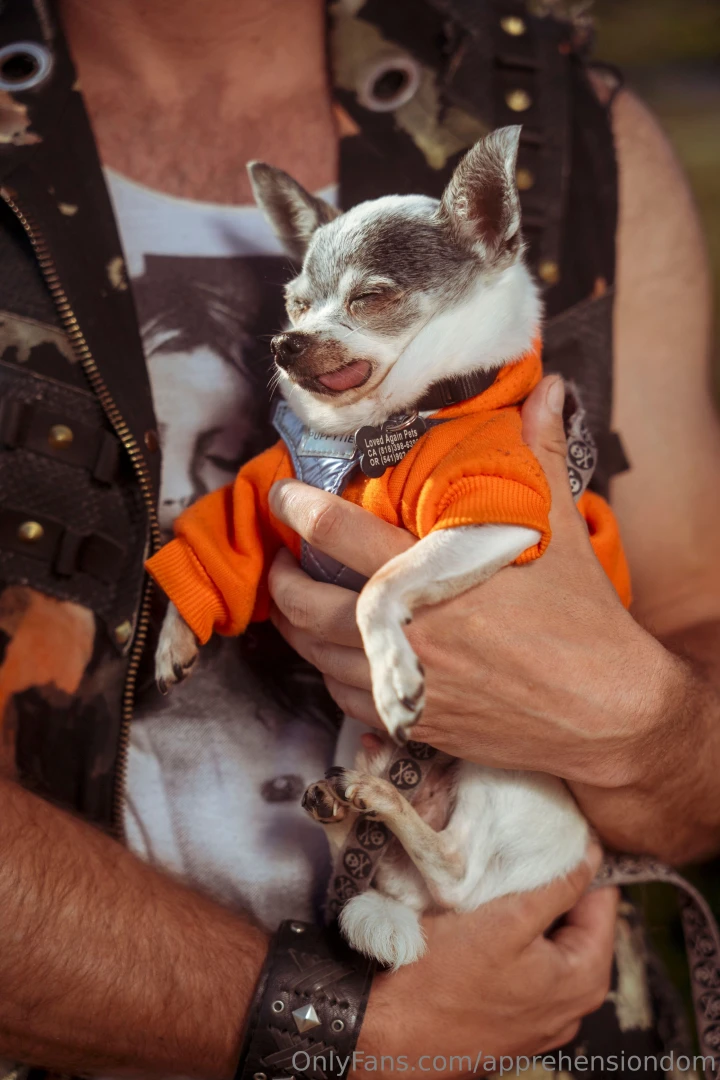 Do you like guys with dogs part 5 