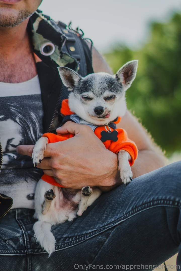 Do you like guys with dogs part 7 