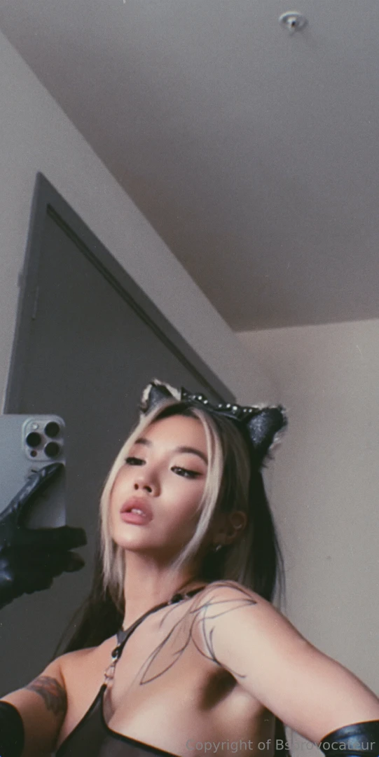 Got new collars tonight and no it s not just for decoration the try-on 