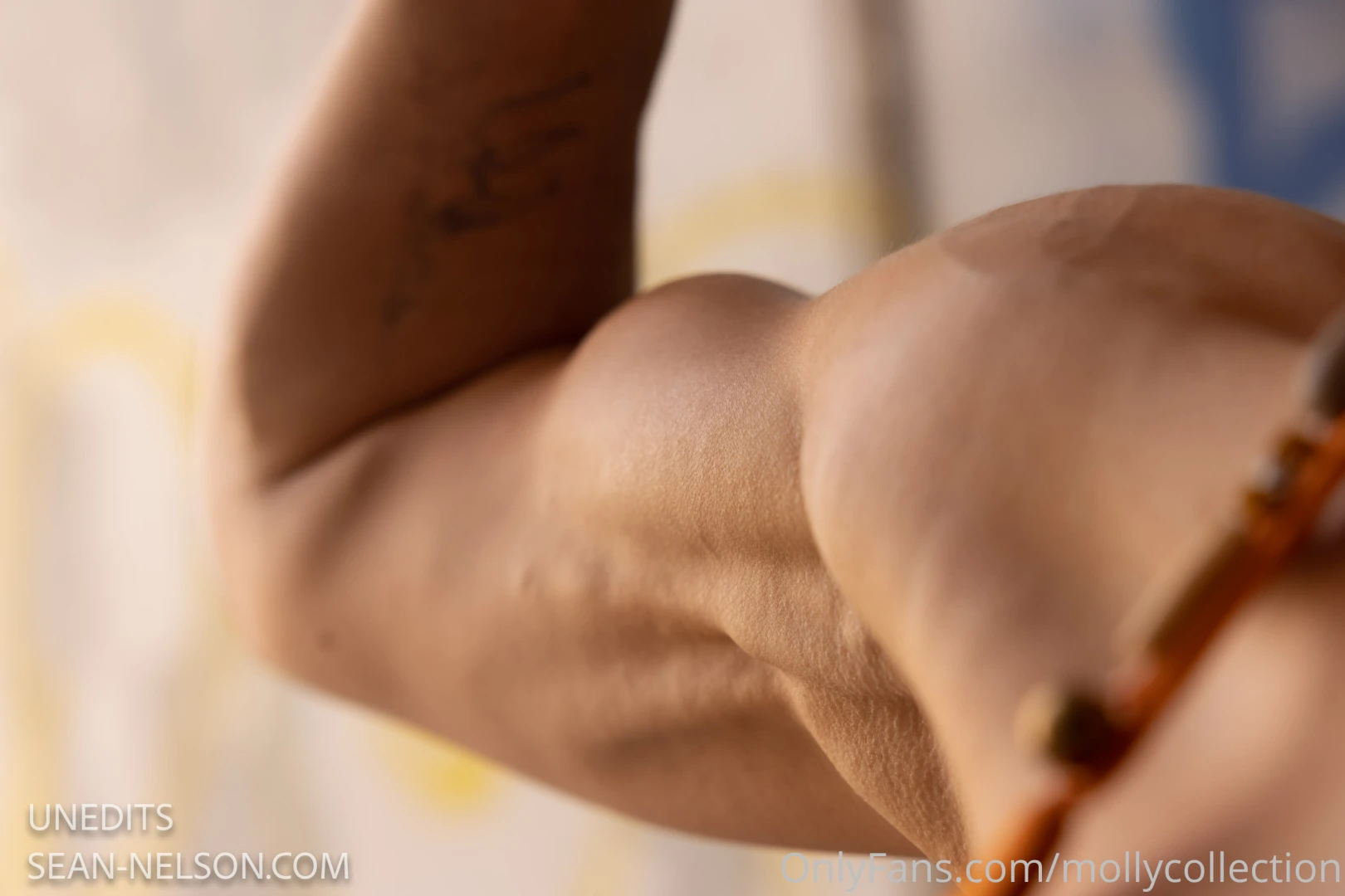 Biceps don t lie and neither do i 