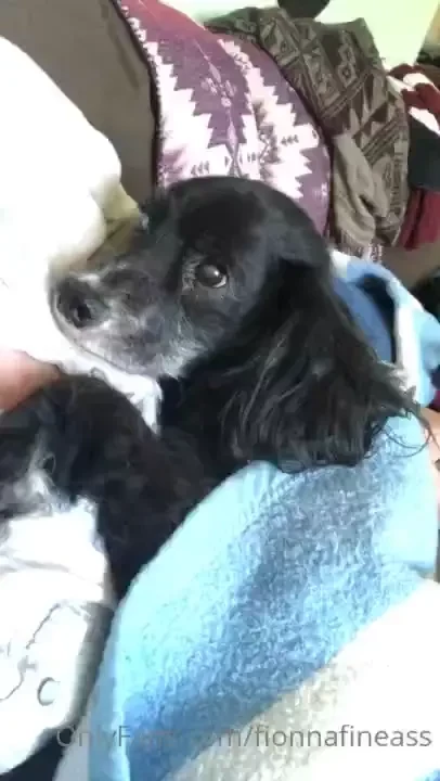 Fionna-fineas part 1 