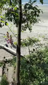 Boner beach pt 2 with wizardthick and friends