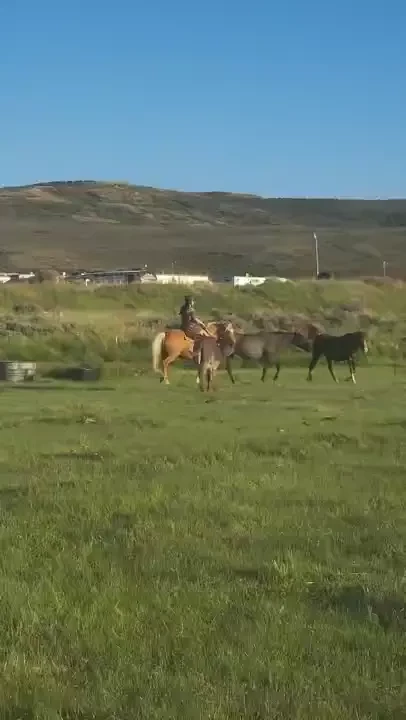 I wanted to show everyone a few clips i am just schooling historia and part 1 