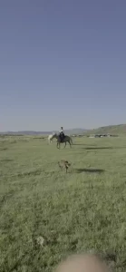 Me and historia yesterday there s a surprise in there