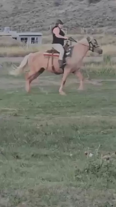 Tfw you almost loose a tiddy 