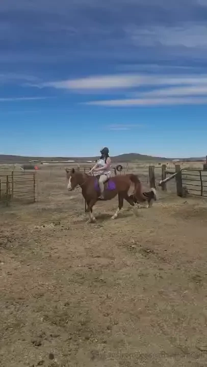 Me and suki she was really trying to stay near lurker but she is a 