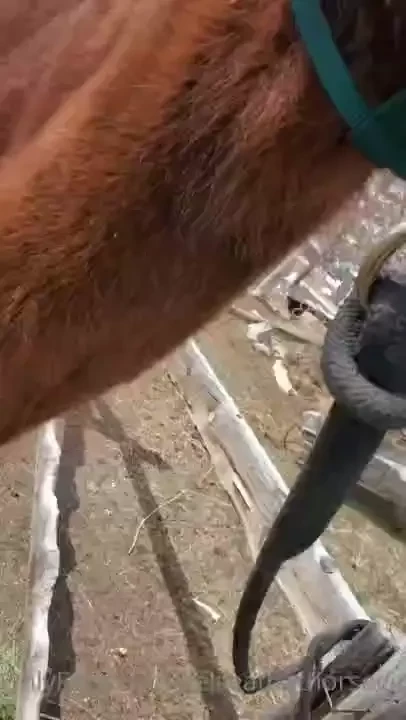 I m gonna miss this girl just know mommy loves you baby girl i m sorry 