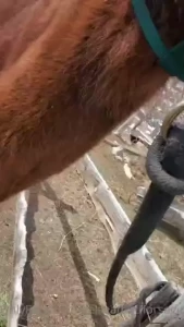 I m gonna miss this girl just know mommy loves you baby girl i m sorry