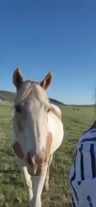 I m still not on my foot trying to plan something creative i don t