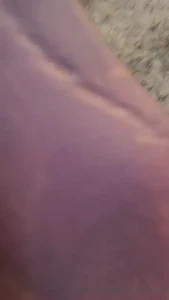 Since i cant give any of you sweet things a real riding lesson i