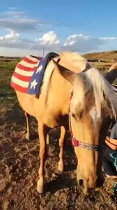 Since i cant give any of you sweet things a real riding lesson i part 1