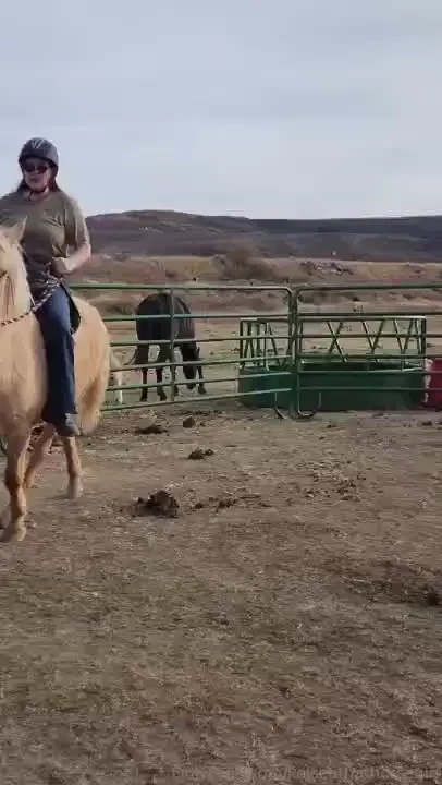 Look at my magnificent potato 