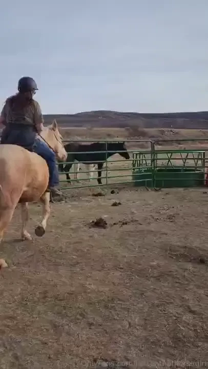 Look at my magnificent potato part 1 