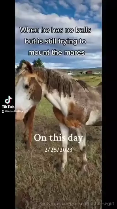 This guy was rescued from a literal backyard like the kind you put a 