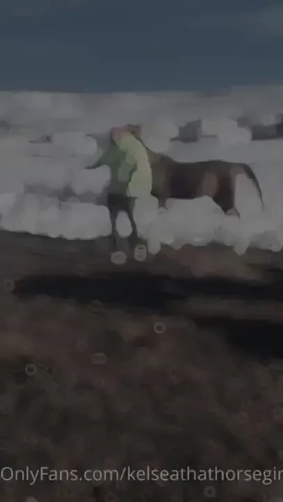 Faceless_lurker running suki for me 