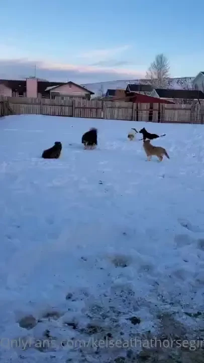 Fluff explosion 