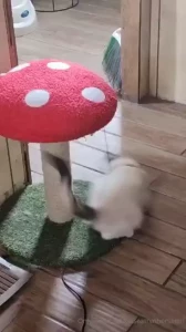 If anyone needs a pick me up today heres one part 1
