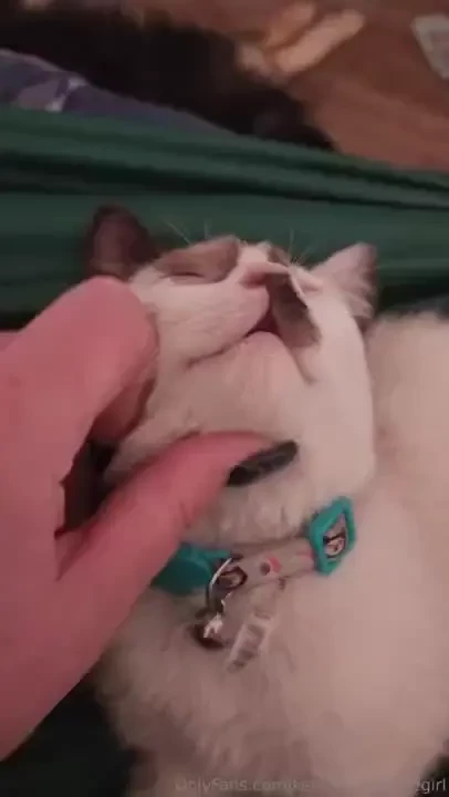 If anyone needs a pick me up today heres one 