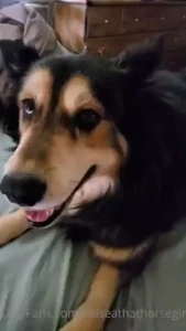 Tito s reaction to your comments about him being the goodest boy