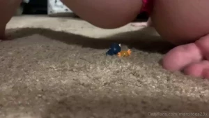 At first i was just playing with my tinies but i got a little carried