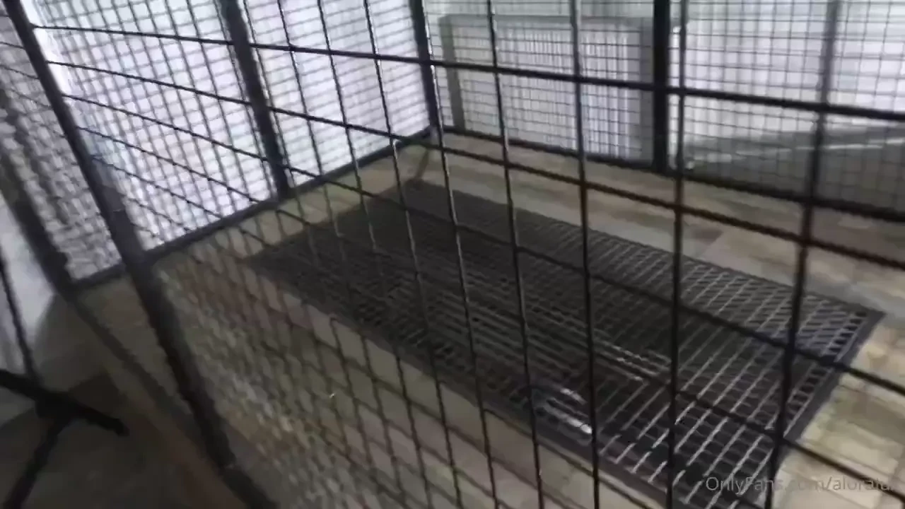 A video of me in the cage with bondage over seas locked up and toyed 