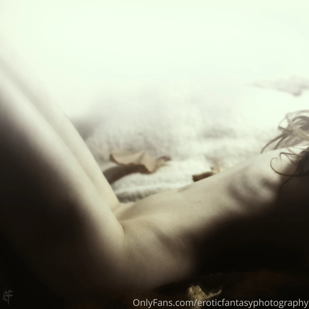 Feuilles d automne deux autres photos de cette s rie sont disponibles 