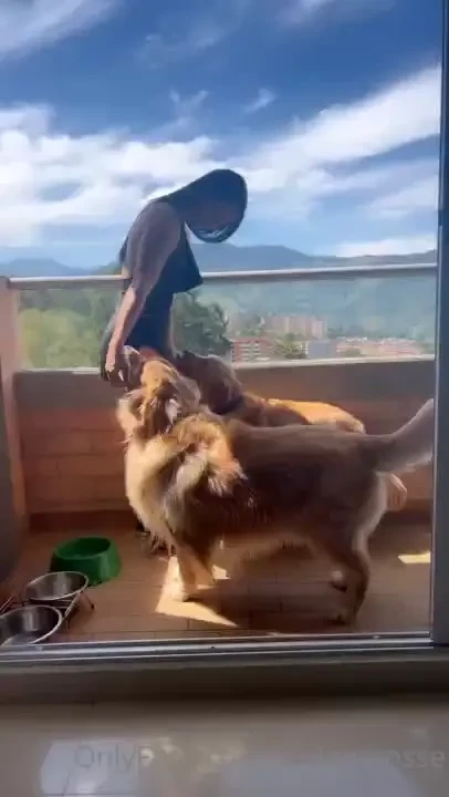 Some fluffy friends wanted to say hi too say hi to them and tell me 