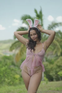 This lil bunny s been hopping around wonderland all day hunting for part 1