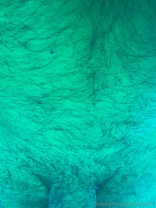 Gtl