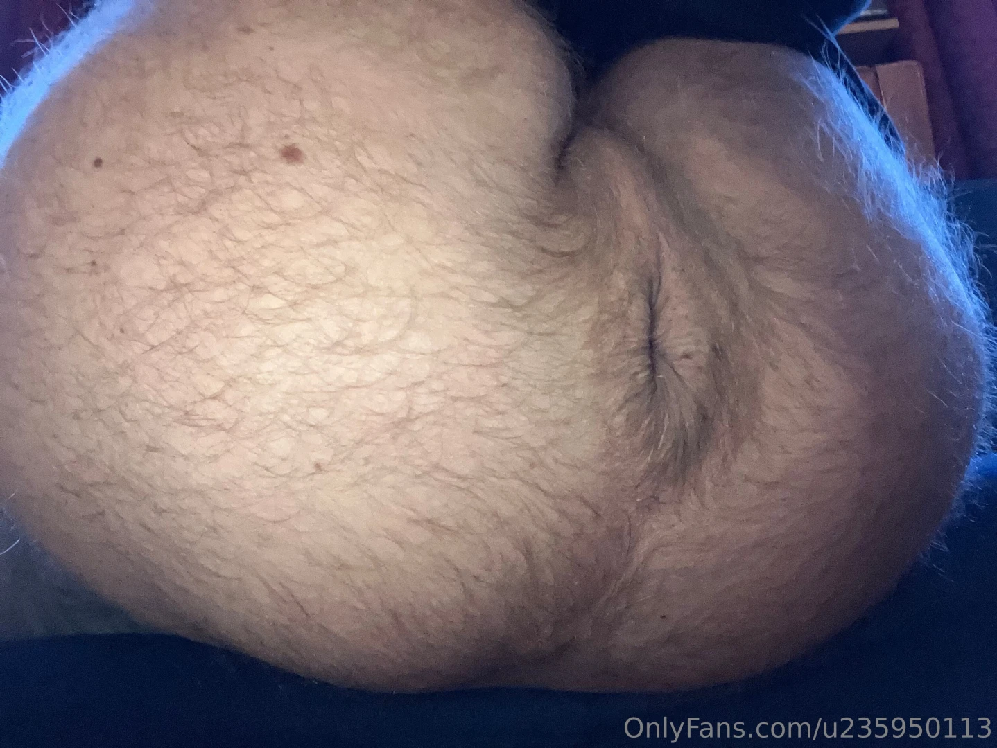 Big hairy asshole for you guys have fun 