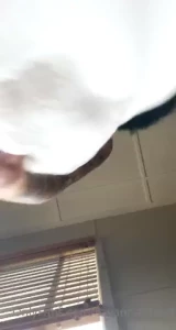 Pov you look underneath my dress