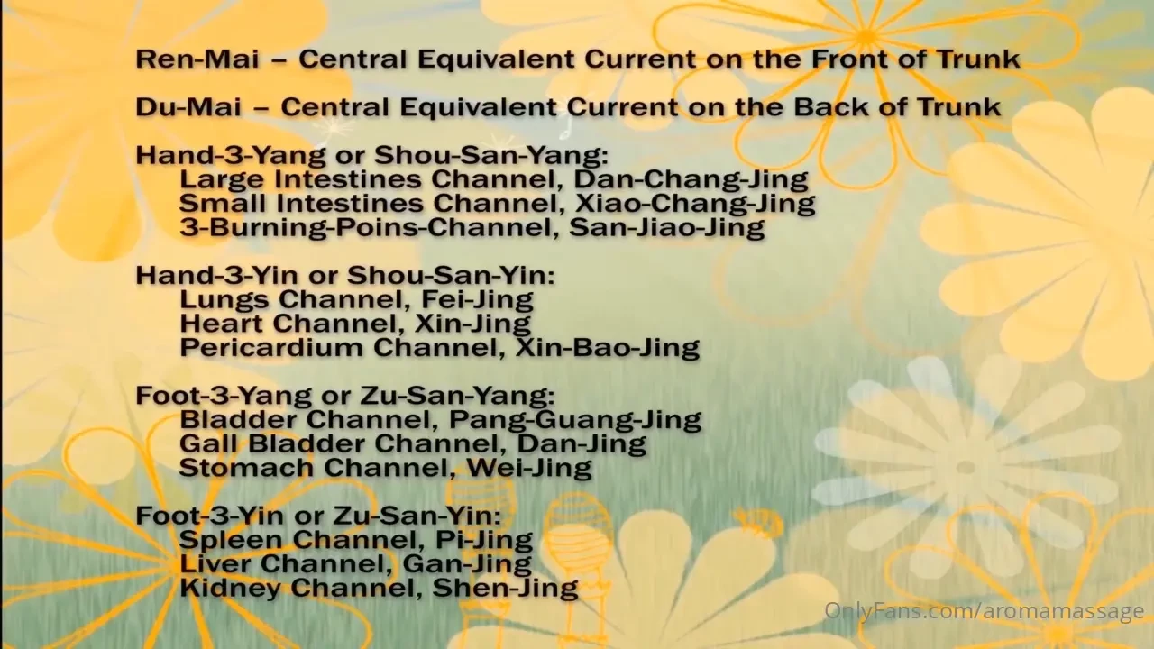 My partner makes me healthy happy and horny with ldem massage ldem part 1 