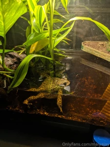 Hey guys i m very sorry about not streaming yesterday i had plans part 1